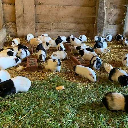 Urresti בית כפרי Gautegiz Arteaga