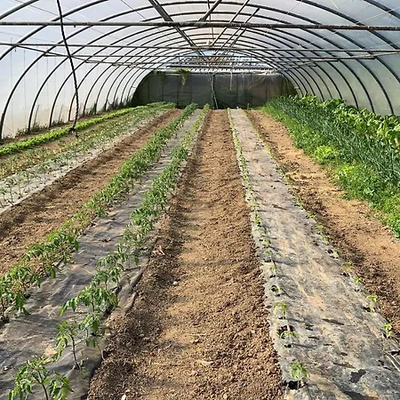 Urresti Gautegiz Arteaga