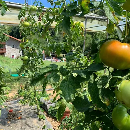 בית כפרי Urresti