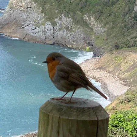 בית כפרי Urresti *