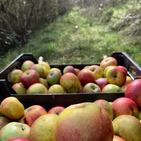 בית כפרי Urresti