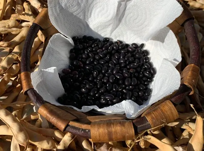 Urresti Casa rural *