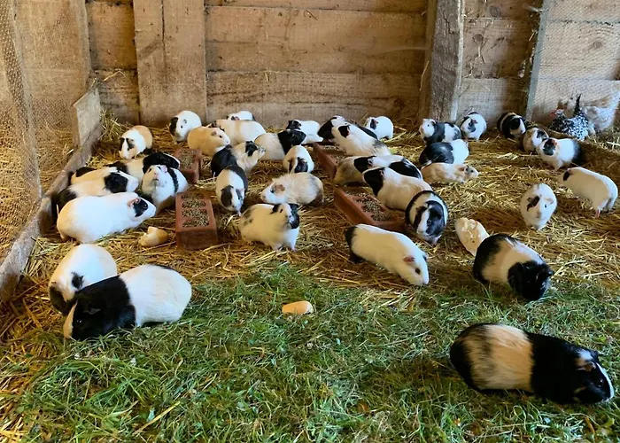 Urresti Casa rural Gautegiz Arteaga