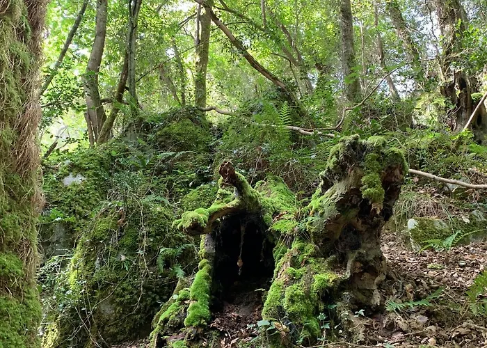 Urresti Casa rural *