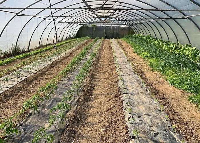 Urresti Gautegiz Arteaga