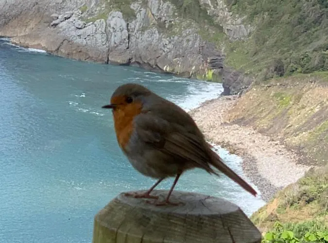 Casa rural Urresti *