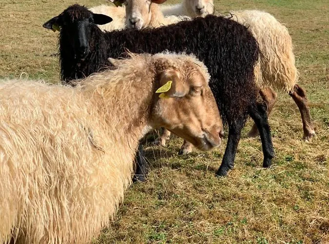 Casa rural Urresti *