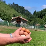 Urresti *